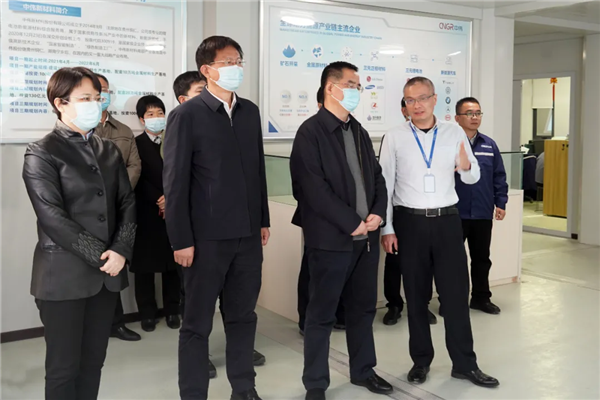 国家发改委工业司司长卢卫生调研南部工业基地