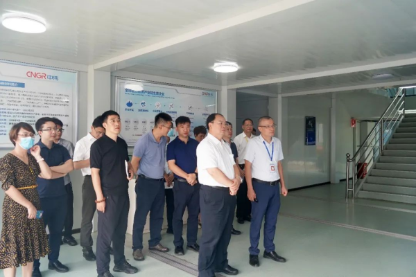 国家生长刷新委综合运输研究所所长、研究员汪鸣率调研组到中伟钦州工业基地调研