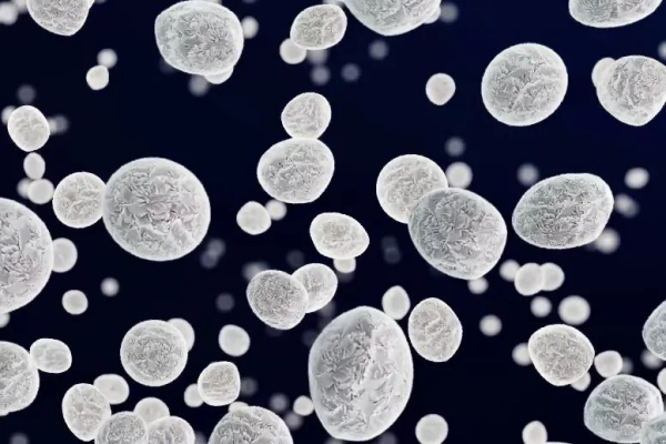 1xBET·Signup(中国区)-官方网站