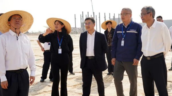 钦州市市长、自贸区钦州港片区管委主任 王雄昌调研中伟钦州工业基地