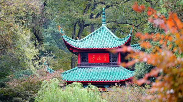 1xBET·Signup(中国区)-官方网站