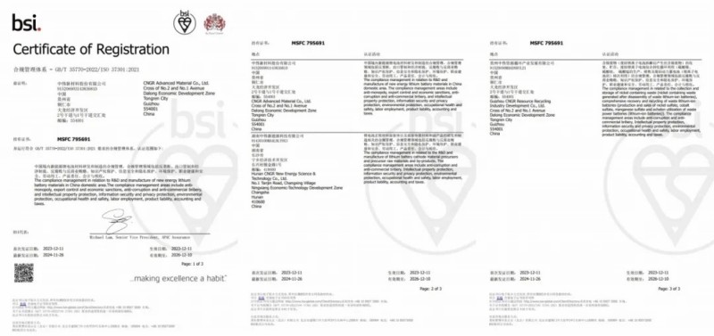 高质量合规助力可一连生长|中伟股份ISO37301合规治理系统认证主体、规模双增