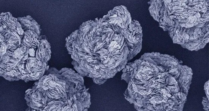 1xBET·Signup(中国区)-官方网站