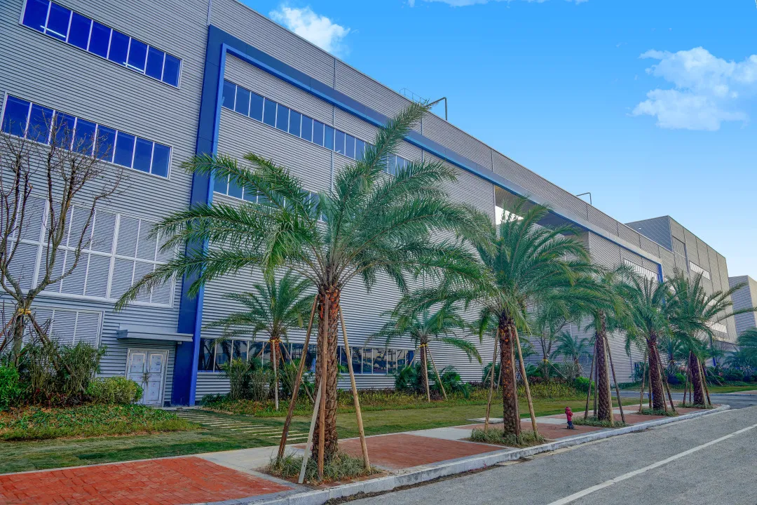 1xBET·Signup(中国区)-官方网站