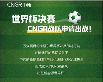 天下杯决赛 | CNGR战队申请出战！