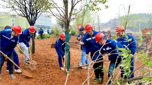 这个植树节，，，，，共植一抹青绿，，，，，向着绿色未来出发！