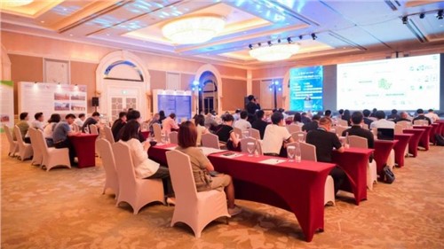 一连举行三届！超200家企业齐聚，，，，，，由中伟股份特殊协办的这一印尼大会圆满落幕