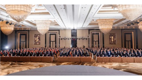 逆风升维 破浪启新｜中伟股份2024年总结表扬暨2025年发动大会盛大举行