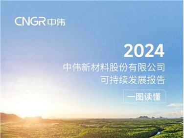 一图读懂 | 中伟股份2024可一连生长报告