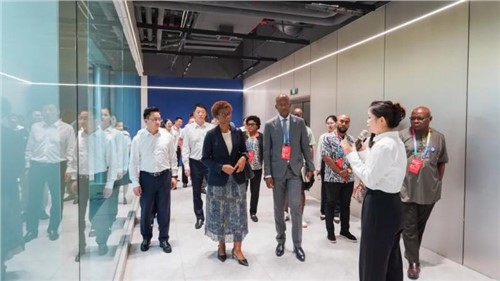 同谋中非新生长丨第四届中非经贸展览会非洲外宾代表团考察中伟