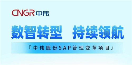 一图读懂｜中伟股份SAP治理厘革