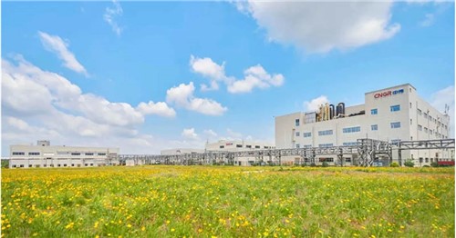 一连三年排名稳步提升！中伟股份入选2025年中国民营企业500强